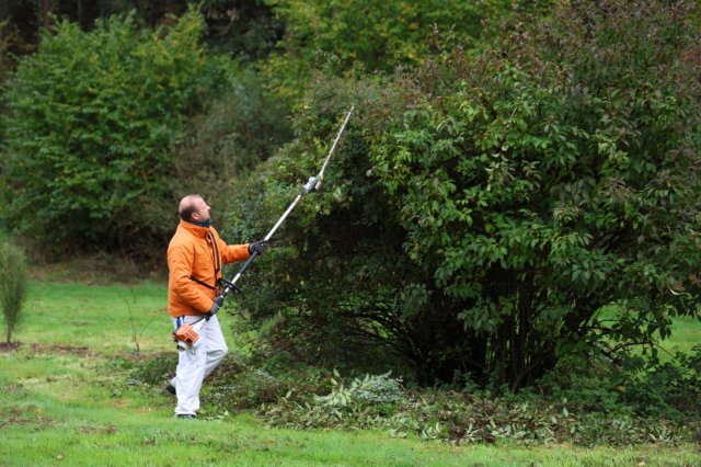 img_7652 bild galerie oberauroff